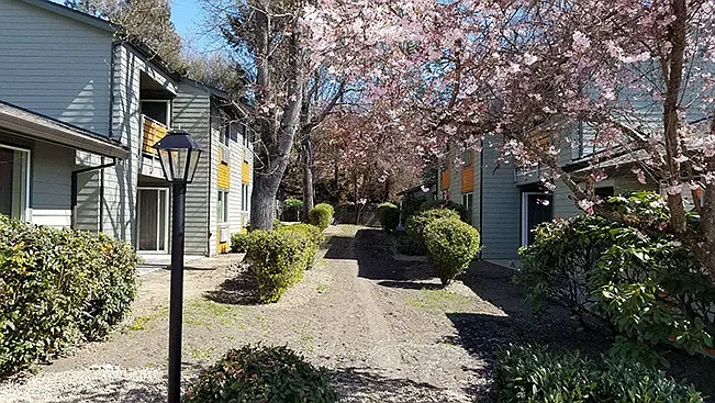Woodville Village