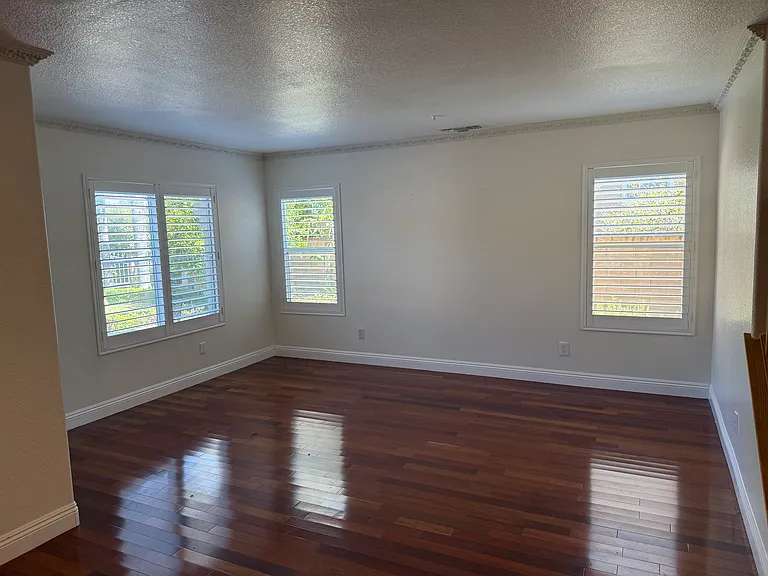 26319 Antonio Cir — Photo 3