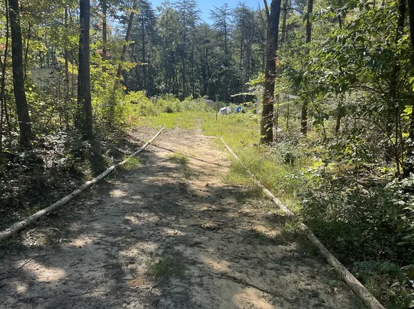 468 Dollar Dr, Altamont, TN 37301