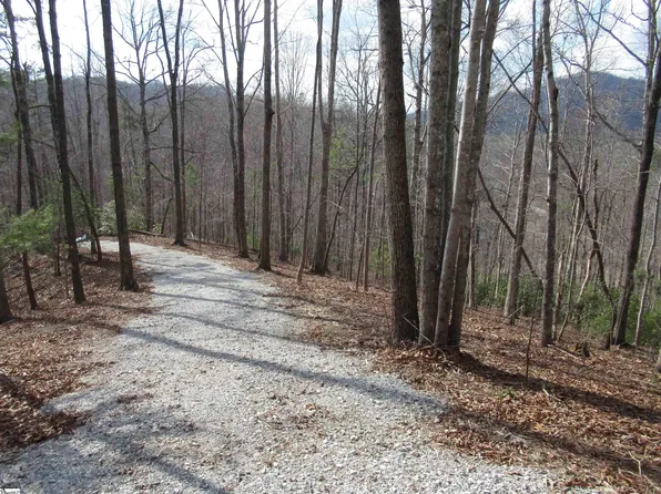 Belvoir Drive Lots 31 And 32 #2, Pickens, SC 29671