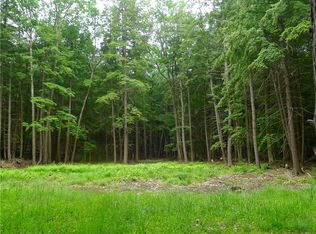 Stonewall Rd, Austerlitz, NY 12017