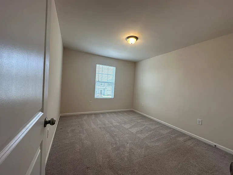 3528 Strawberry Patch Row — Photo 14