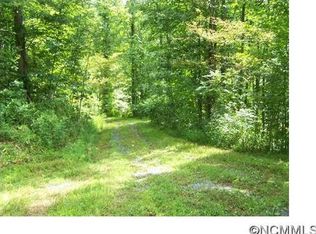 309 Price Town Rd, Clyde, NC 28721