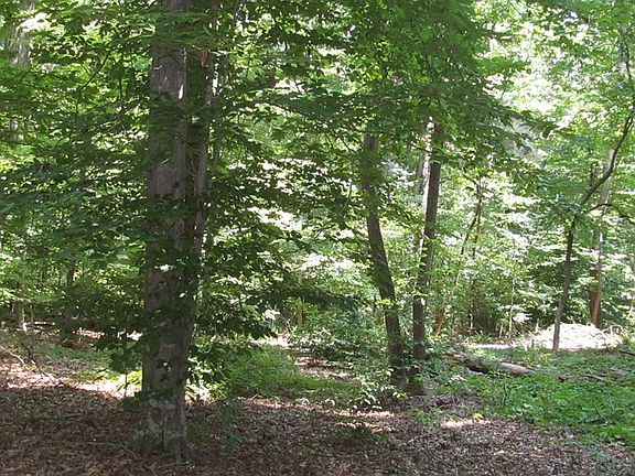 5th image of 73 Stacey Ct