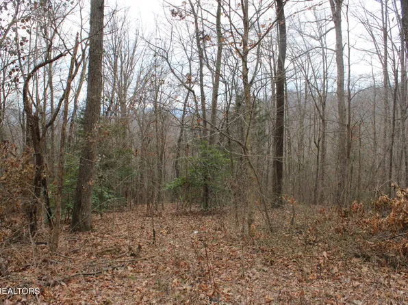 Carol Dr, Jamestown, TN 38556