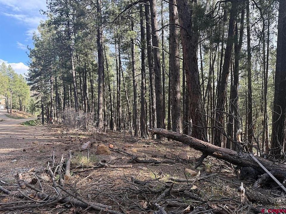 2nd image of 217 Pine Top Drive