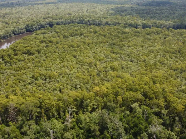 Tbd Gunboat Landing Rd, Maurepas, LA 70449