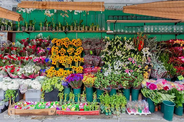 Rented by Citi Habitats | media 17