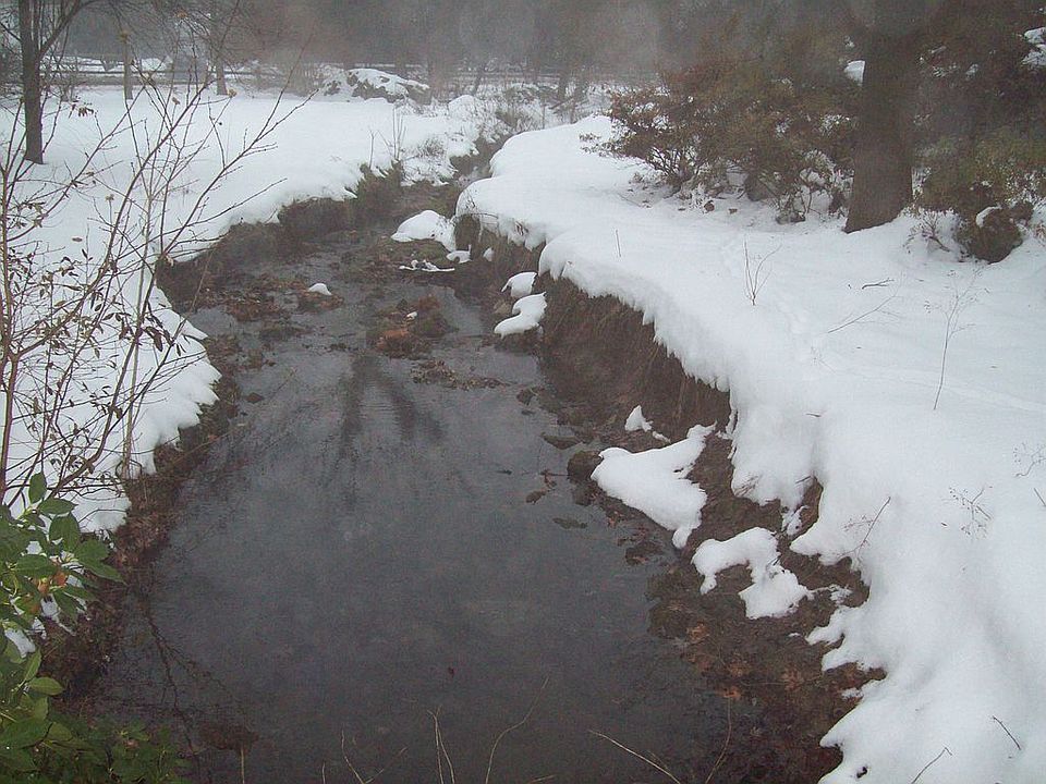 2nd image of 623 Stevenson Ln