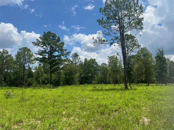 NE 78th Ln, Bronson, FL 32621