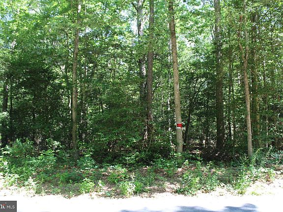 3rd image of LOT 3 Jackson Rd