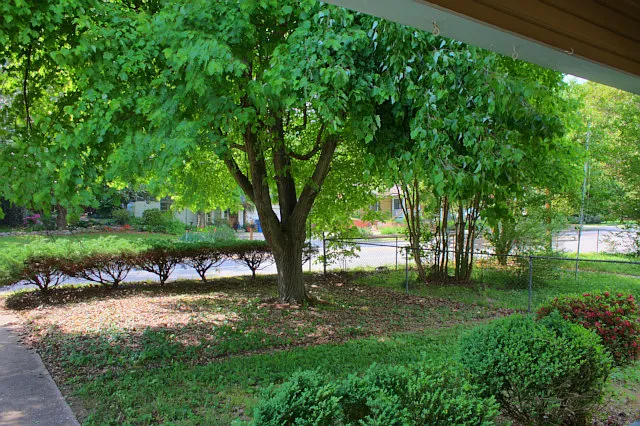 2603 Chapel Hill Rd — Photo 16