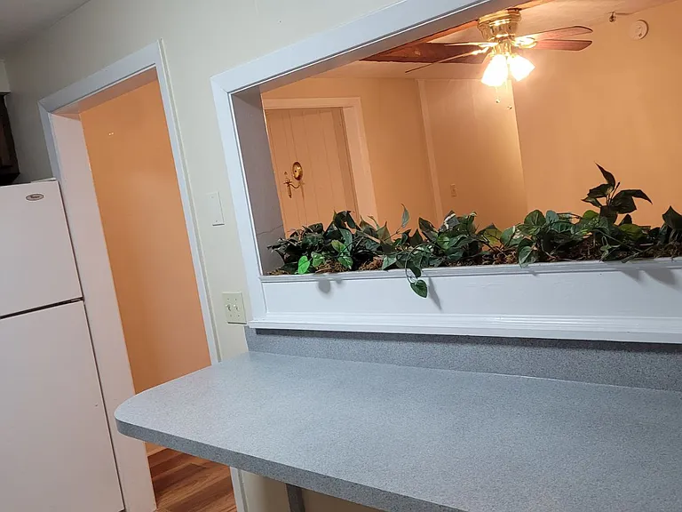 Kitchen looking towards DR
