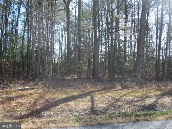 PARCEL Short Rd #A, Harbeson, DE 19951