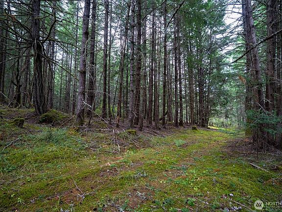 4th image of 1087 Cady Mountain Road