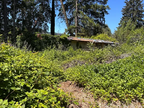312 Forest View Dr, Willow Creek, CA 95573