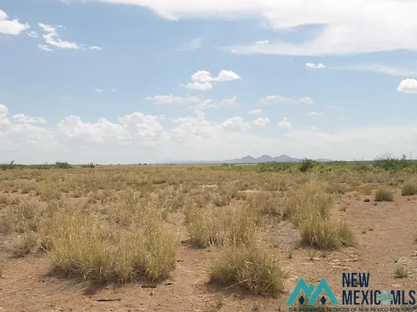 Cebada Rd SE, Deming, NM 88030