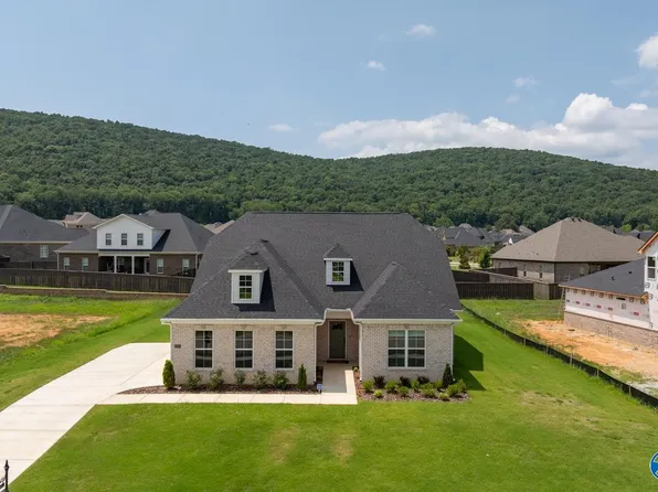 8123 Goose Ridge Dr, Owens Cross Roads, AL 35763