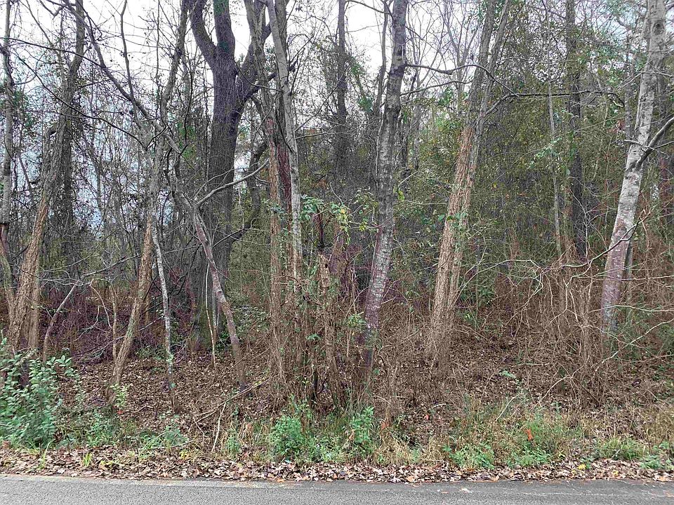 1st image of 163 Will Ave NW