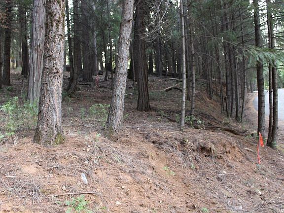 3rd image of 5511 Shooting Star Rd