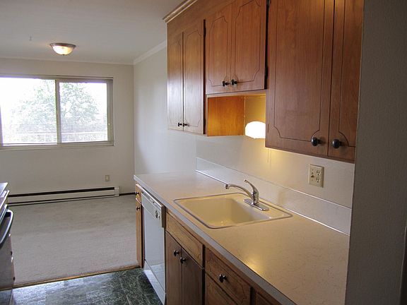 Charming Maple Cabinets