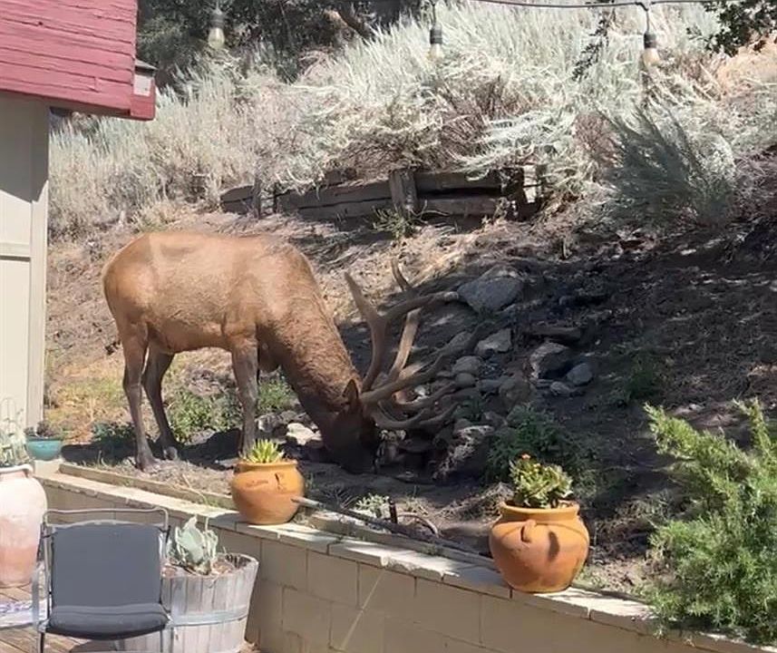 1st image of 29901 Skyline Dr