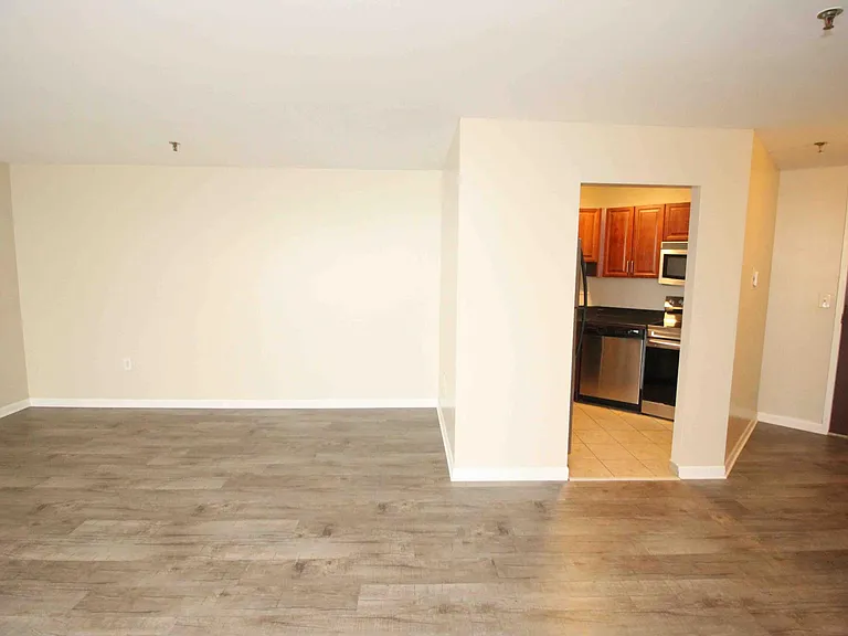 1001 W Jefferson Ave #300/29D — Photo 4