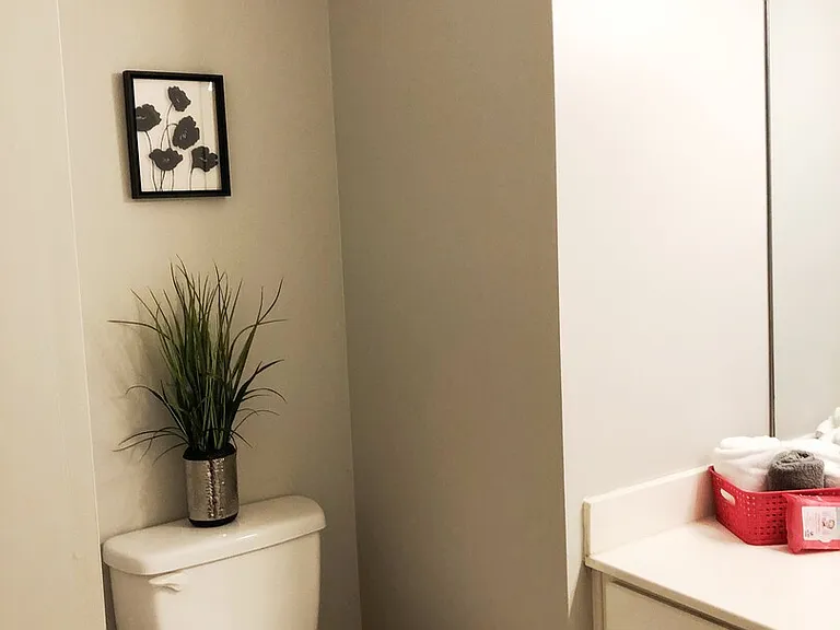 Cinnabay Dr — Photo 24