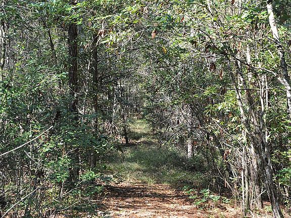 5th image of 0 Butler Town Rd