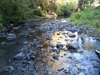 10951 NW Rex Brown Rd, Carlton, OR, 97111