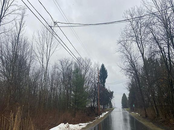 5th image of 131-133 Elderberry Ln