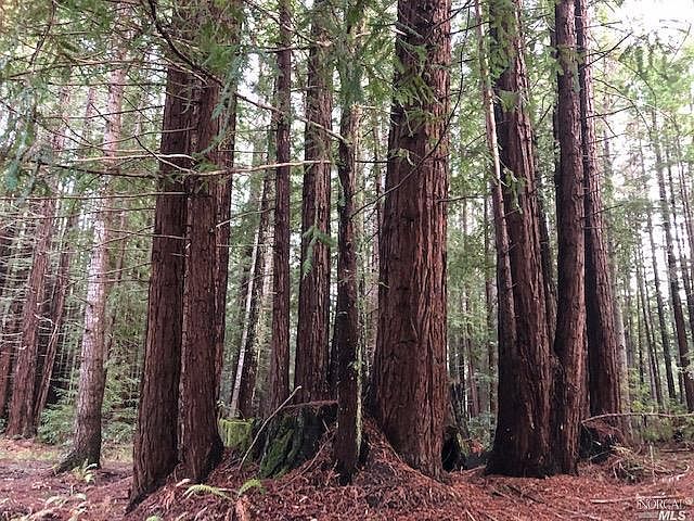 296 Timber Cove Rd Jenner Ca Zillow