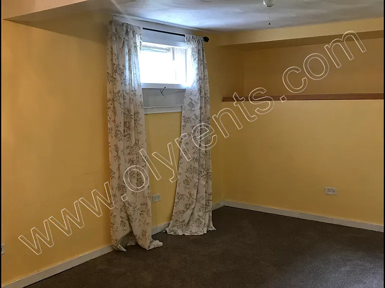 Bonus Room in Basement_05292018