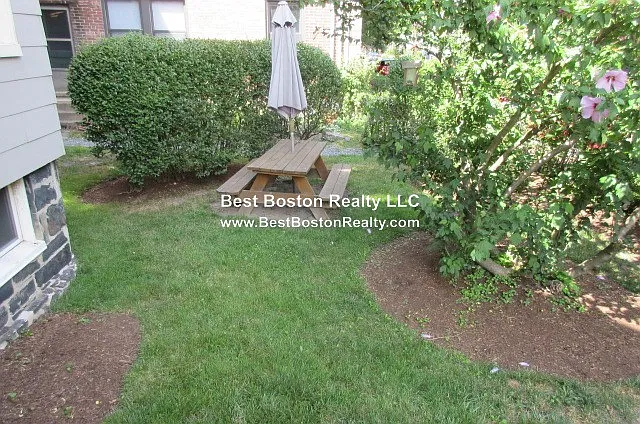63 Dana St #11 — Photo 7