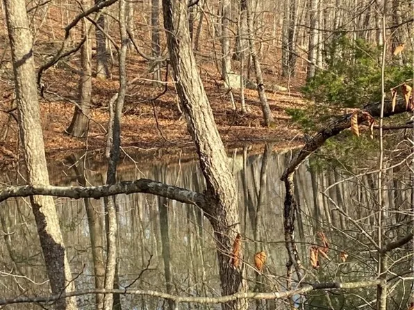 3176 McR, Pettigrew, AR 72752