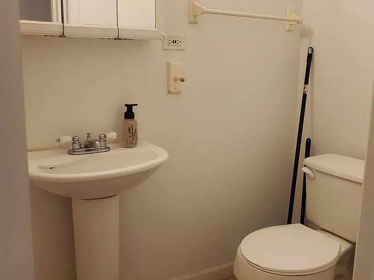 1113 S Loomis St #BASEMENT — Photo 11
