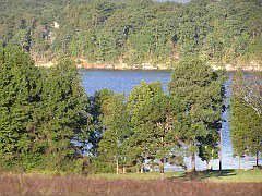 1st image of 131 River Place Dr