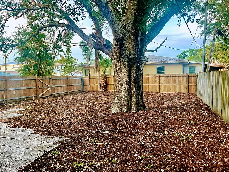 Large backyard