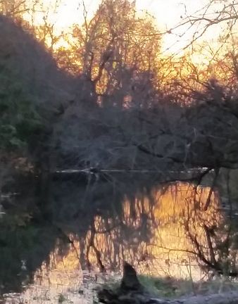 3rd image of 1095 County Road 7320