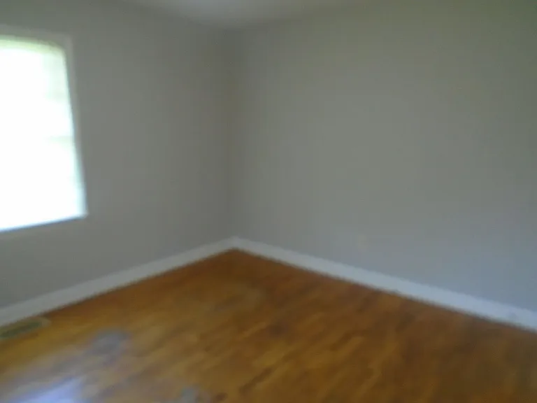 1115 Poplar Dr — Photo 10