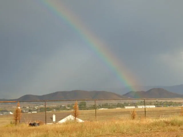 After the rain!