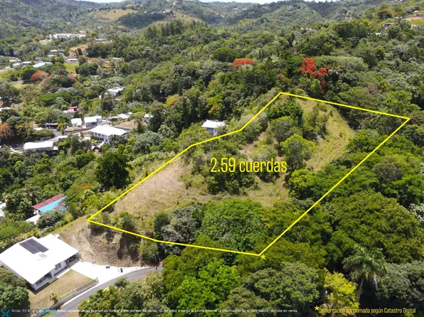 Carr 186 Sector, Bayamon, PR 00956