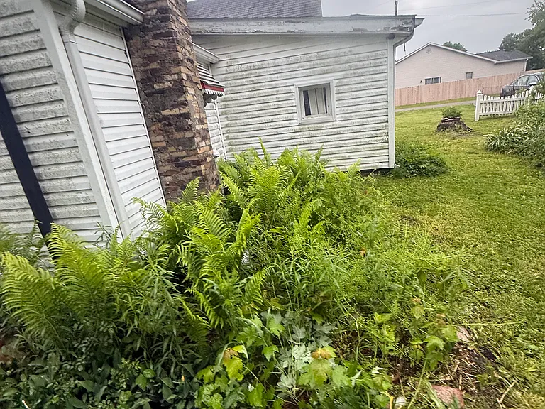 533 Higgins St — Photo 15