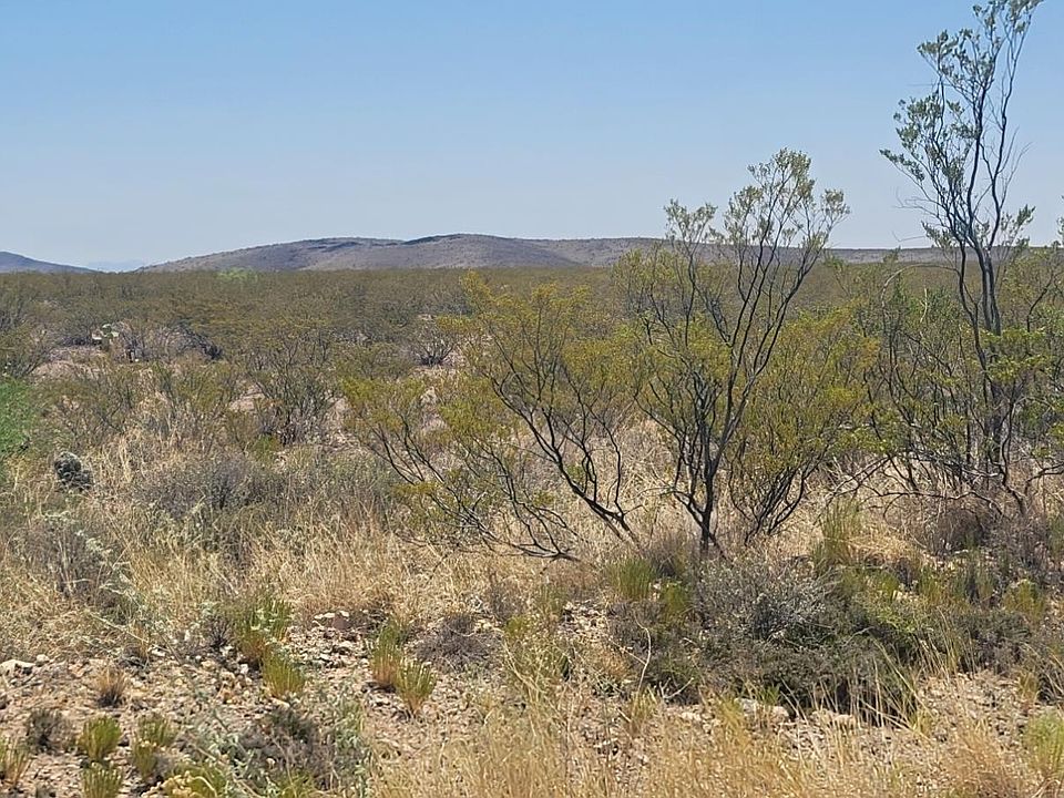 2nd image of 262 Champagne Hills Rd