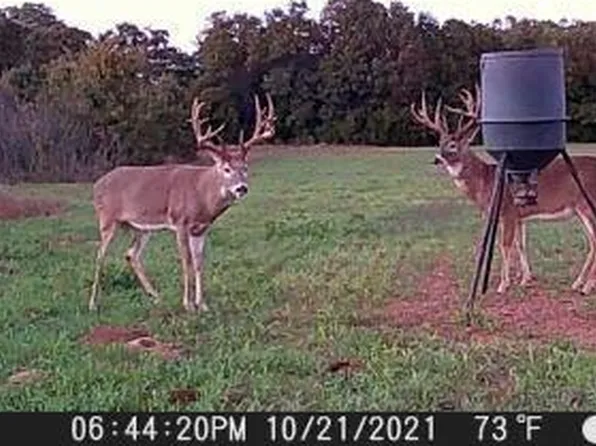 E 850th Rd, Chandler, OK 74834