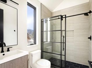 415 Meadow Ct #1, Basalt, CO 81621