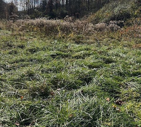 2nd image of 213 Plantation Rd