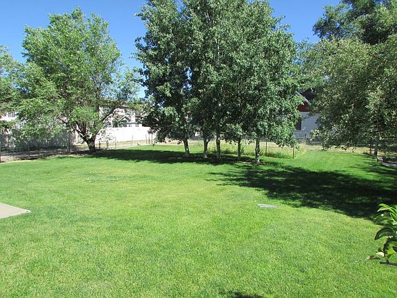 Backyard another angle