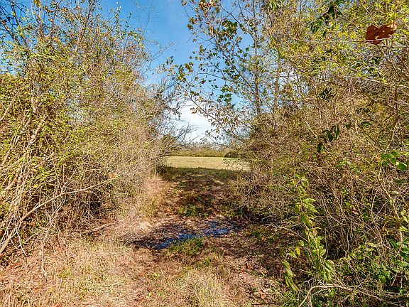 5th image of 4333 Hampshire Pike