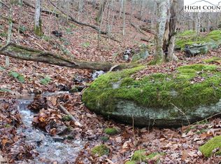 Tbd Rip Shin Rd, Lansing, NC 28643